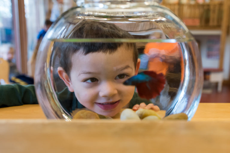Two-Year-Old Program